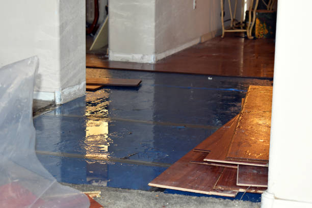 Professional Basement Flood Cleanup technician working in Willshire, OH